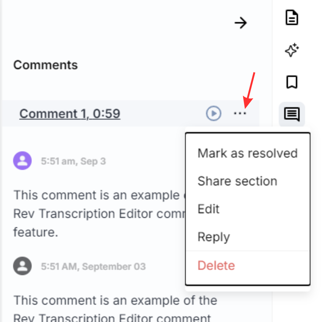Screenshot of Comment extra options.png