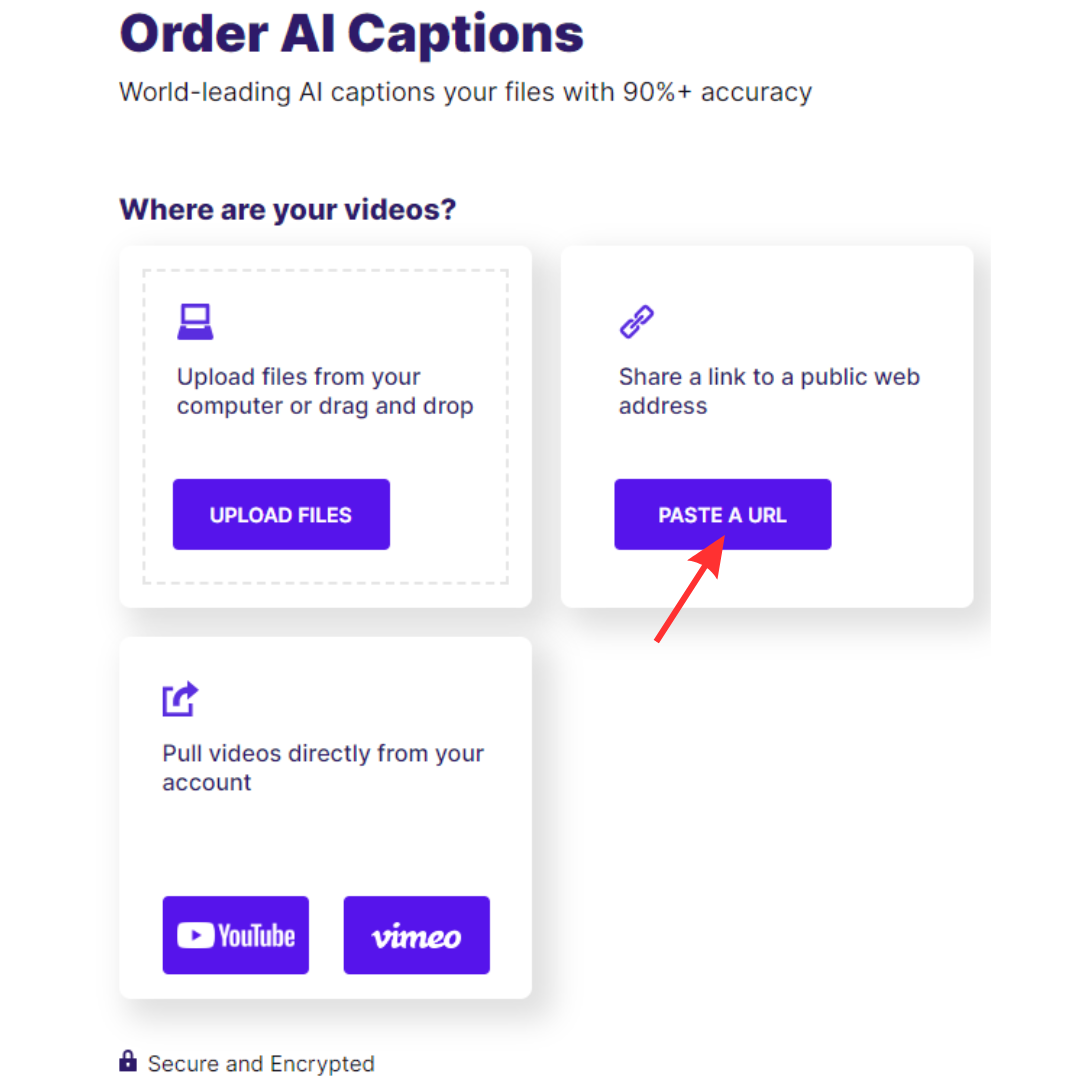 Screenshot of AI captions checkout page paste a URL button